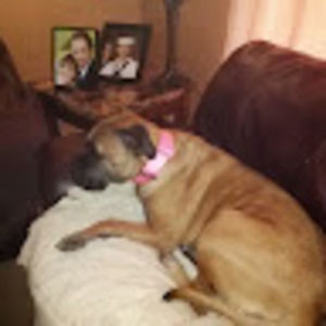 Meet your Posher, Rachele